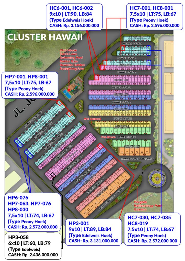 Cluster Hawaii PIK2 20230309