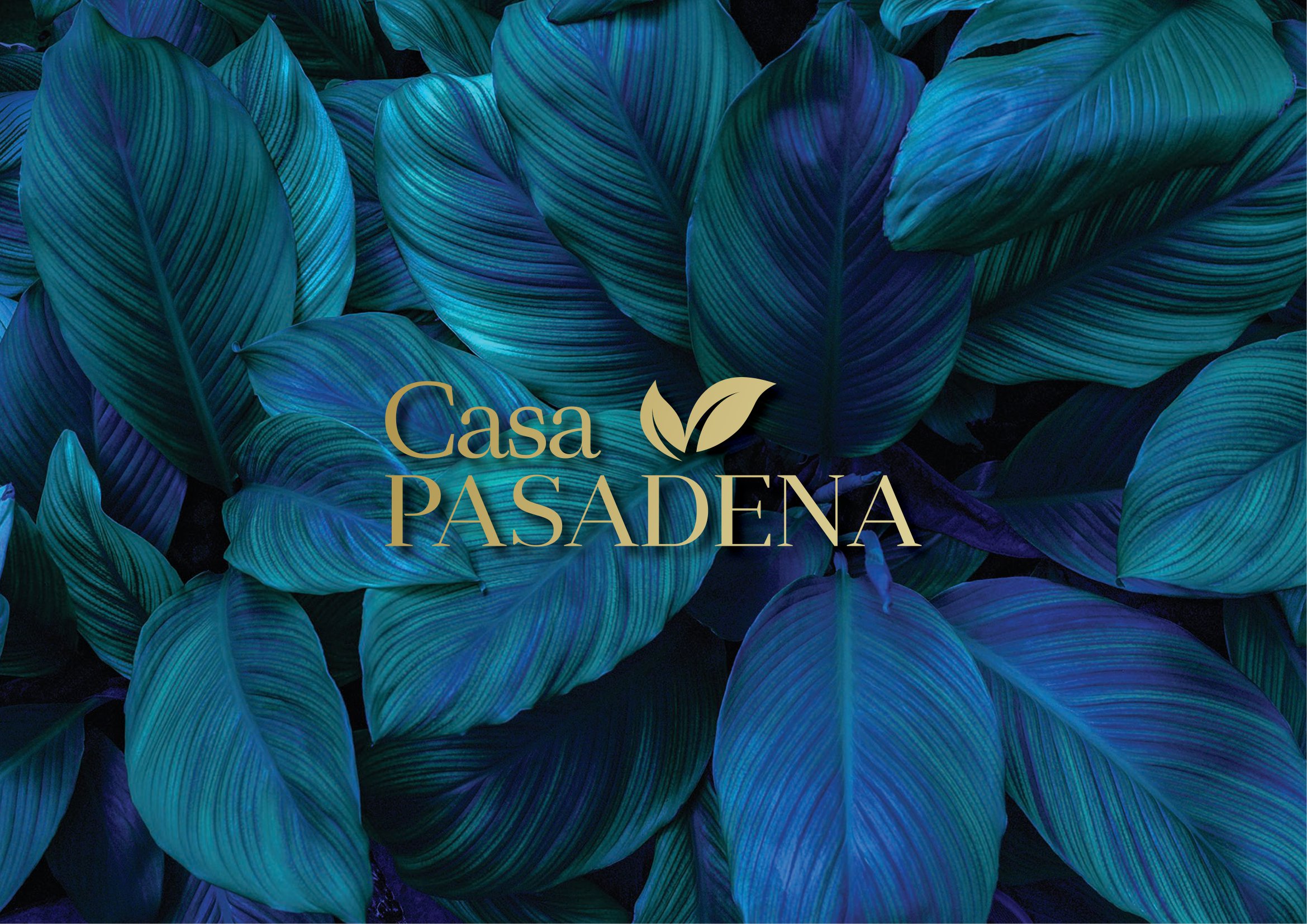 Casa Pasadena PIK2